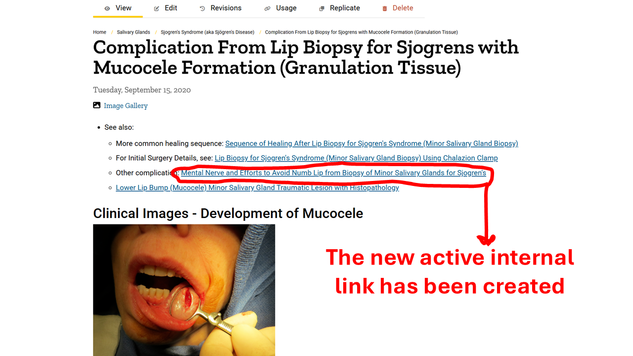 final slide showing new active link