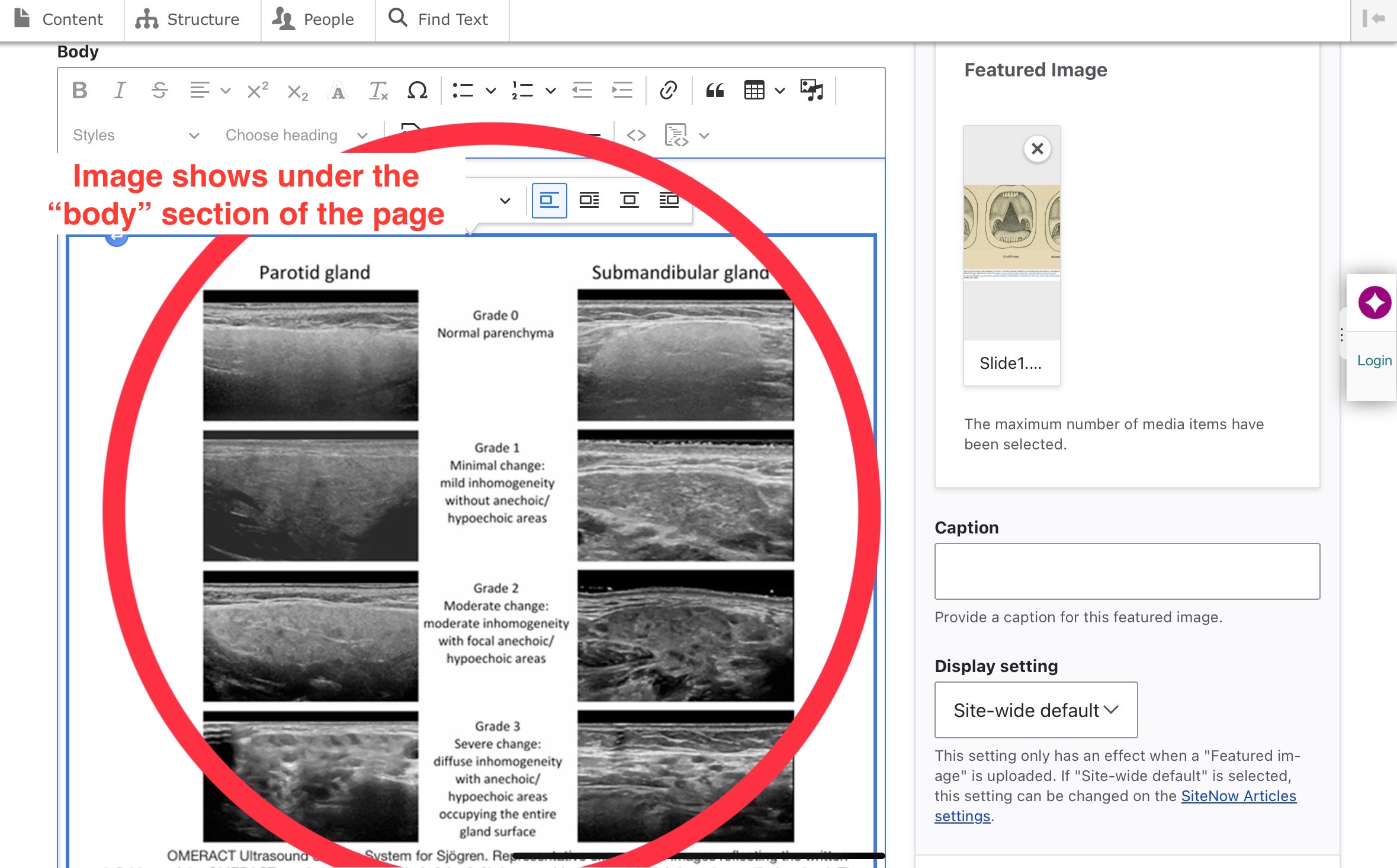 image under body of page