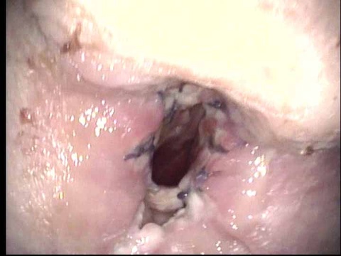 071_0.jpg