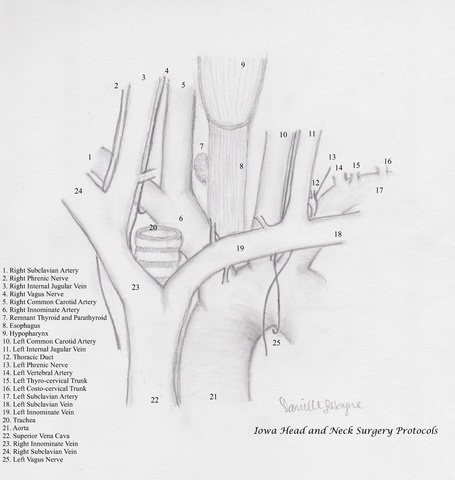 311%20Mediastinal%20Trach%2091311%20with%20watermark.jpg 311%20Mediastinal%20Trach%2091311%20with%20watermark.jpg