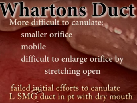 Slide1_43.PNG