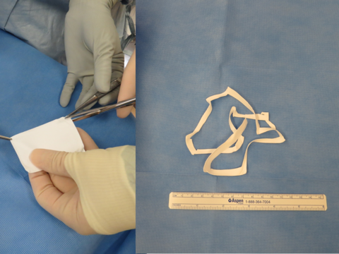 The width of the strip created can vary from thin (1 cm wide) to thicker (2 cm wide)
