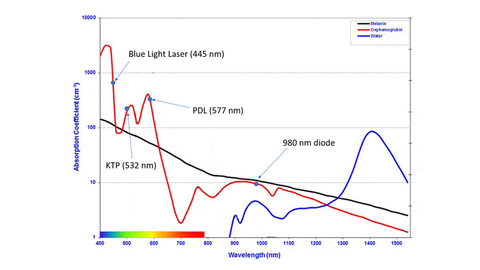 Figure adapted from "File:Coefficients d'absorption.gif." Wikimedia Commons, the free media repository. 22 Oct 2020, 17:56 UTC. 7 Sep 2021, 20:27 <https://commons.wikimedia.org/w/index.php?title=File:Coefficients_d%27absorption.gif&oldid=497542142>.