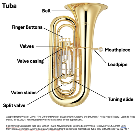 Tuba Tuba