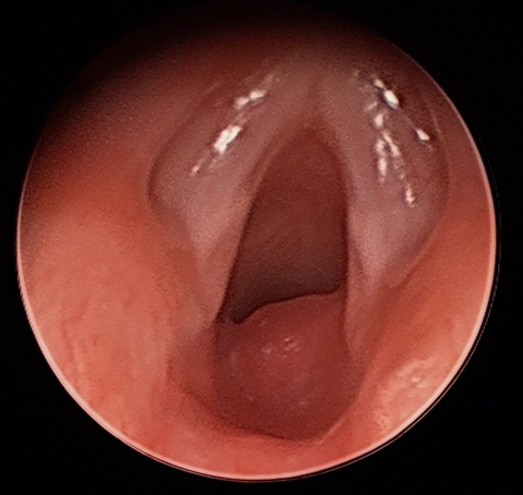 ch1_image_009_0.jpg