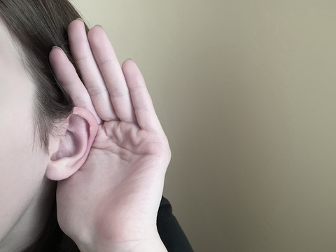 Auditory learner Auditory learner