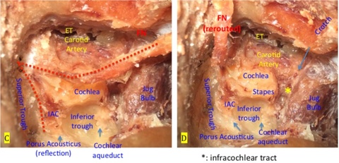 Figure 14-2.jpg