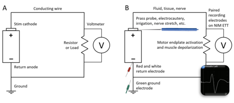 RLN monitoring system as a circuit