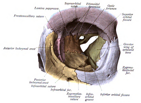 Sobo_1909_95.png Sobo_1909_95