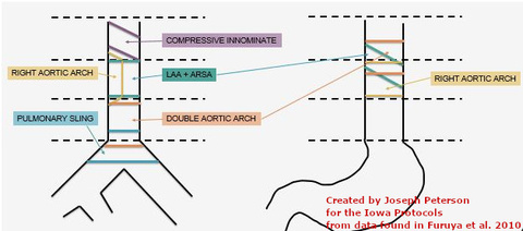 endoscopyc