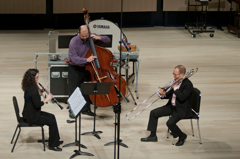 Small instrumental  trio