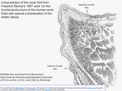 reinke_diagram.png reinke diagram