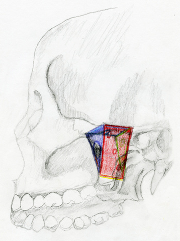 skull%20profile2-SMR.jpg skull%20profile2-SMR