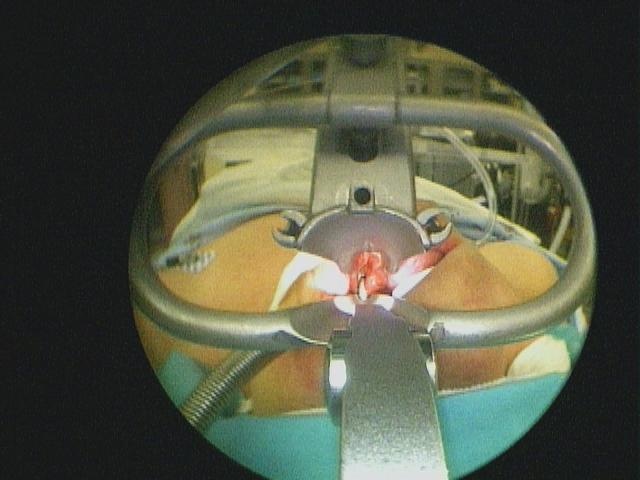 023_0.JPG