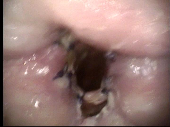 061_0.jpg