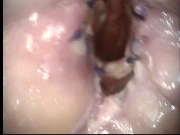 062_1.jpg