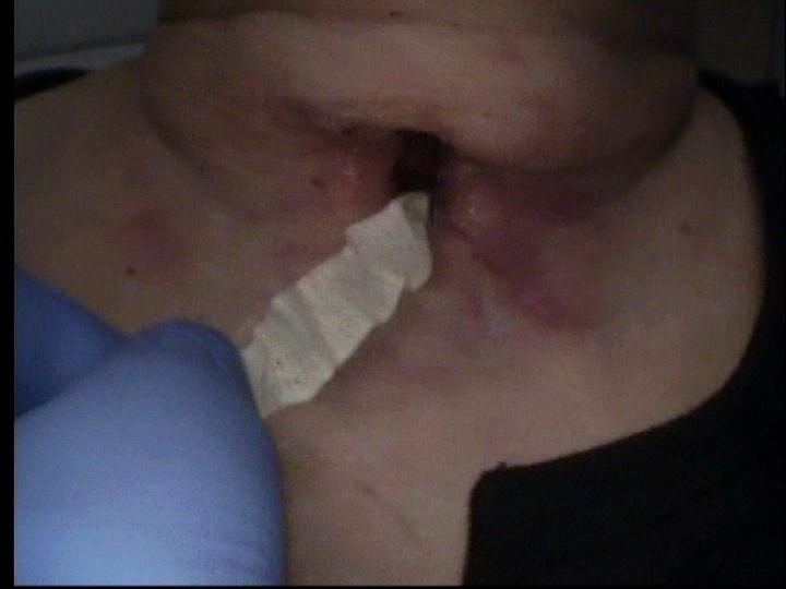 076.jpg