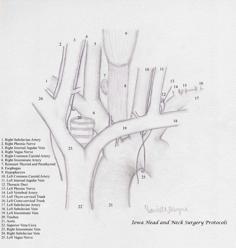 311%20Mediastinal%20Trach%2091311%20with%20watermark.jpg