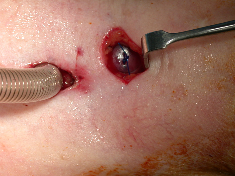 DSCN1355.JPG