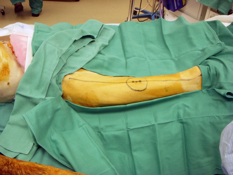 DSCN1955.JPG