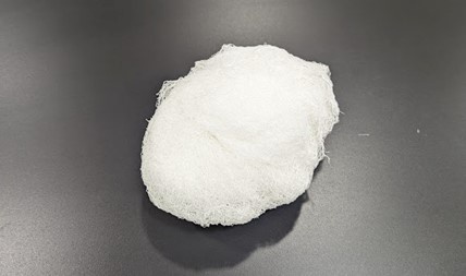 Picture5.jpg