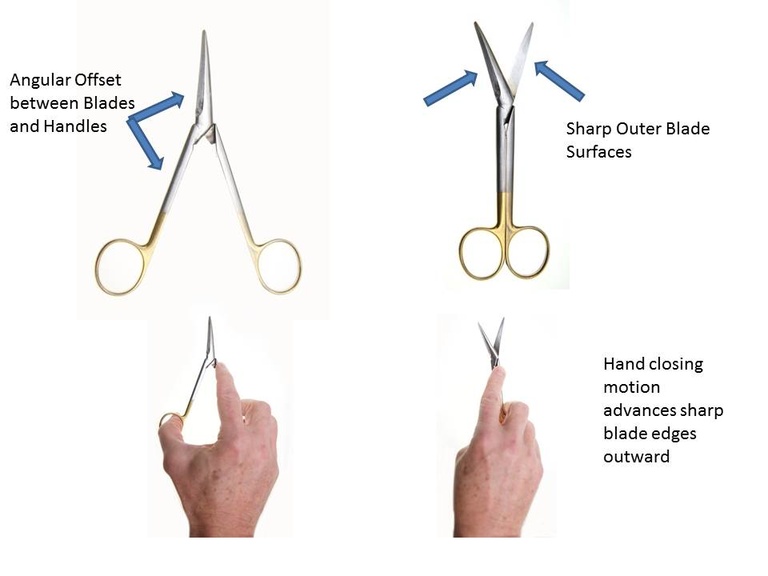 Shunt Scissors Iowa Protocols.jpg