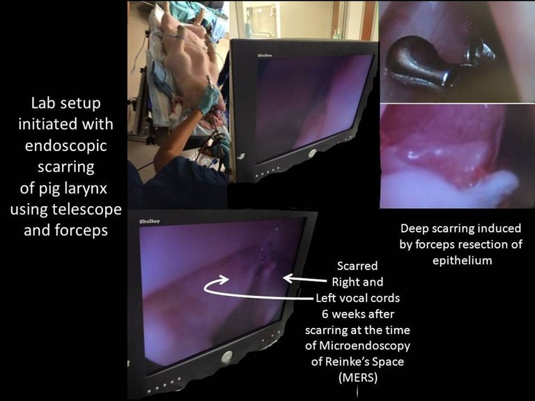 Slide012_0.JPG