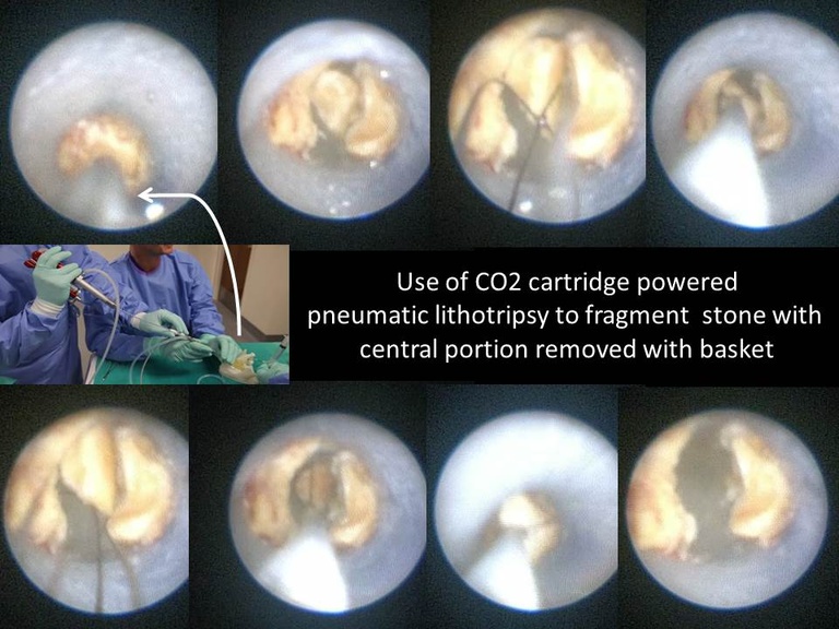 Slide19_1.JPG