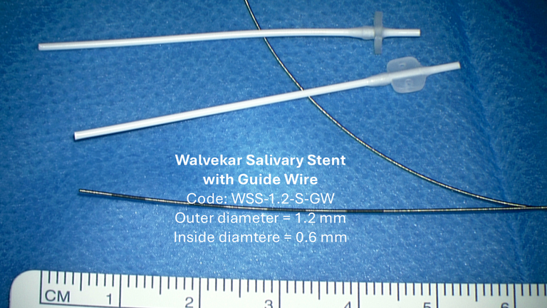 Walvekar Salivary Stent