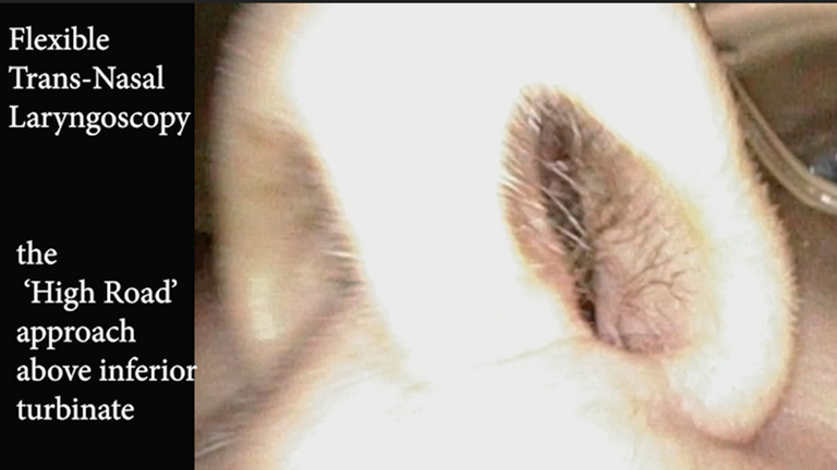 Slide1_51.PNG