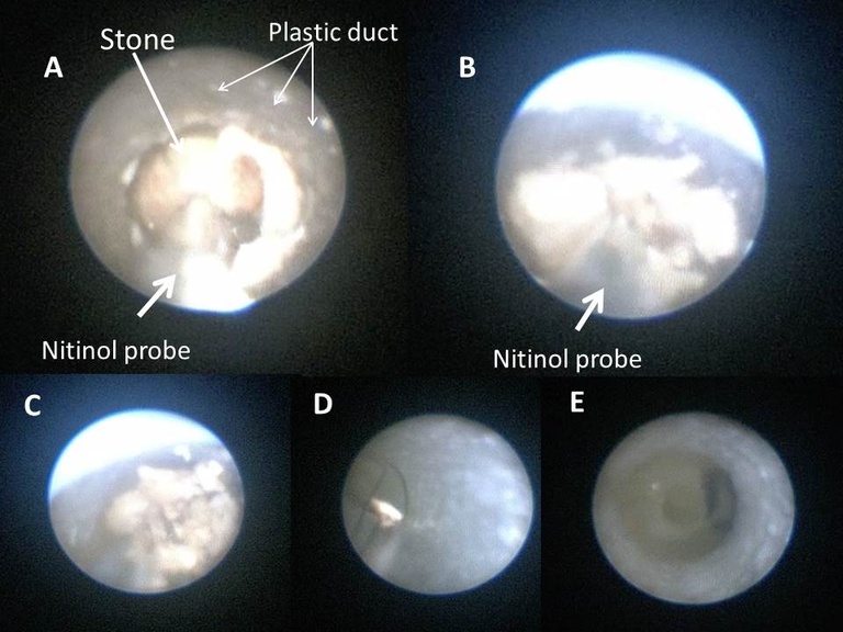 Slide20_1.JPG