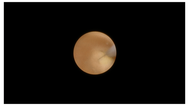 Slide22_5.PNG