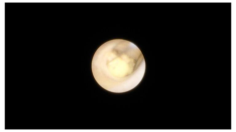 Slide23_6.PNG