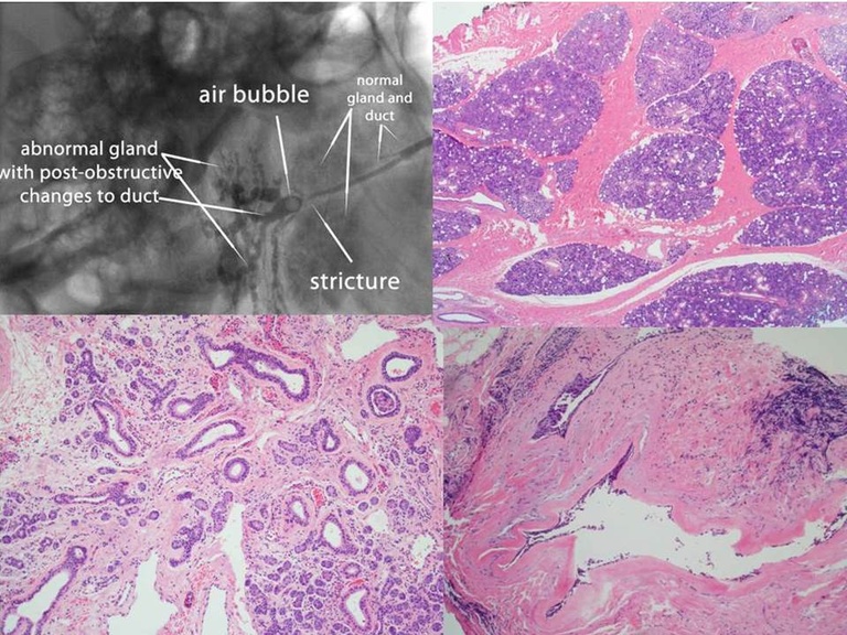 Slide29_0.JPG