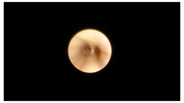 Slide34_4.PNG