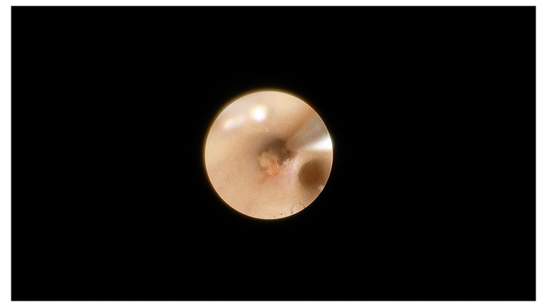 Slide36_3.PNG