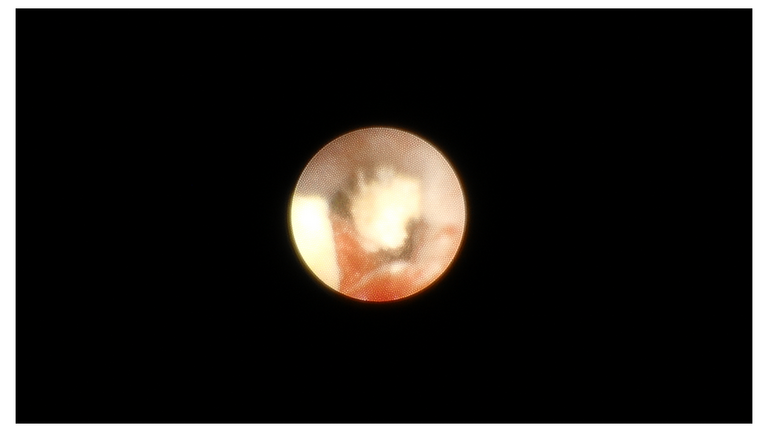 Slide38_4.PNG