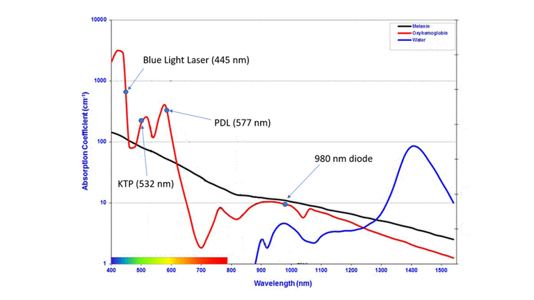 Figure adapted from "File:Coefficients d'absorption.gif." Wikimedia Commons, the free media repository. 22 Oct 2020, 17:56 UTC. 7 Sep 2021, 20:27 <https://commons.wikimedia.org/w/index.php?title=File:Coefficients_d%27absorption.gif&oldid=497542142>.