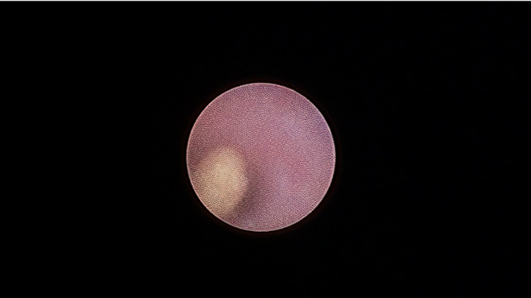 Slide4_72.PNG