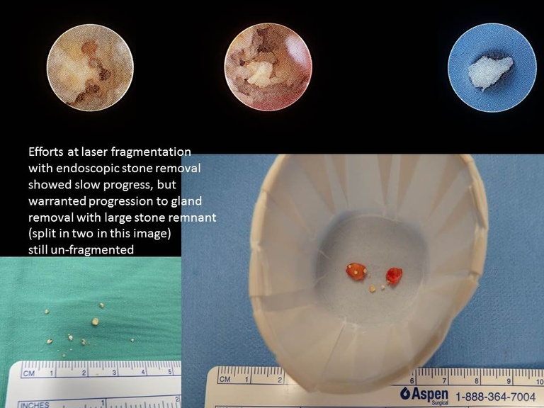 Slide5_2.JPG