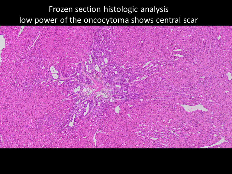 Slide7_44.PNG