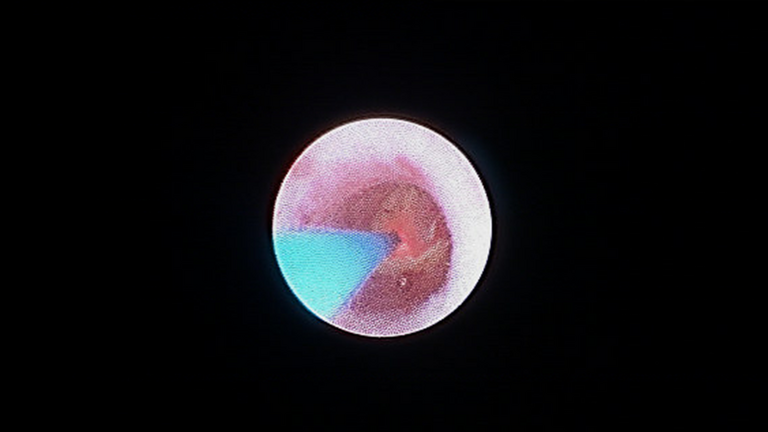 Slide7_50.PNG