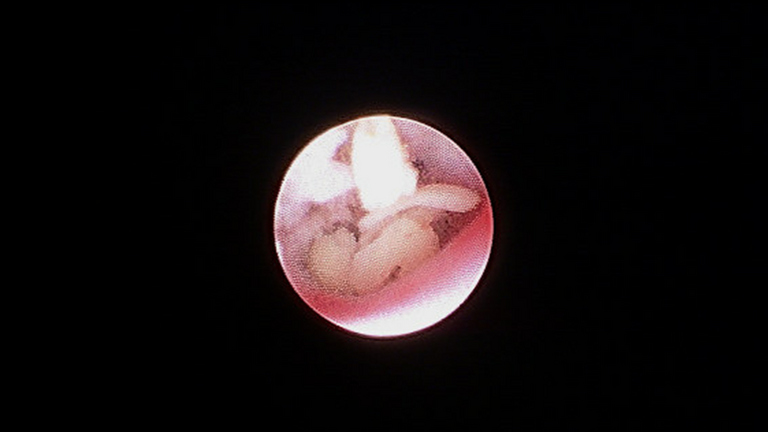 Slide8_40.PNG