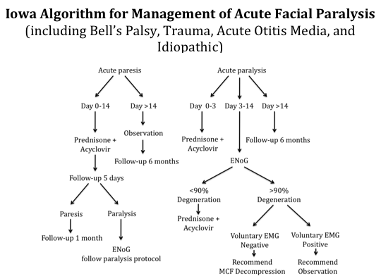 (image modified from Gantz et al., 1999)   