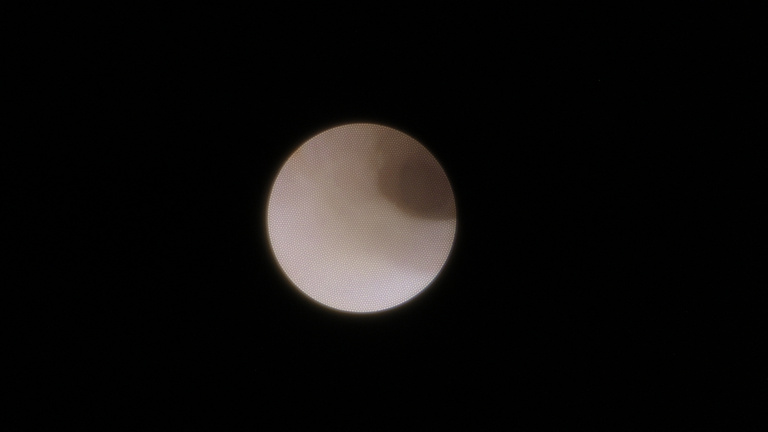 ch1_image_003.jpg