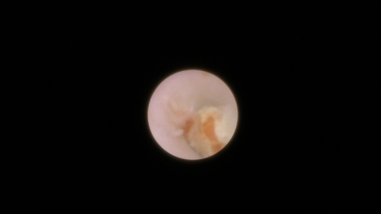 ch1_image_015_0.jpg