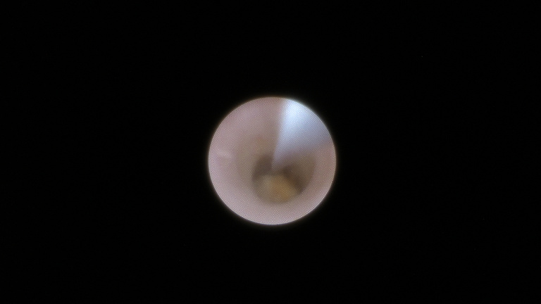 ch1_image_016_0.jpg