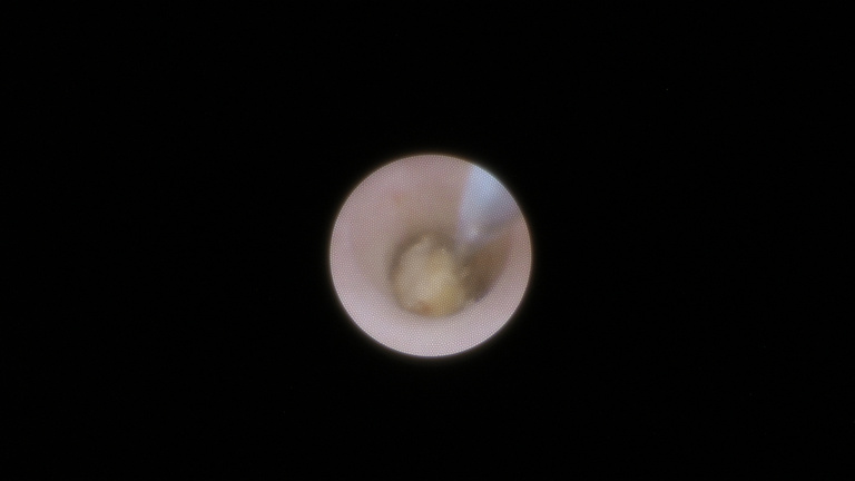 ch1_image_017.jpg