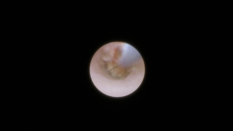 ch1_image_019.jpg