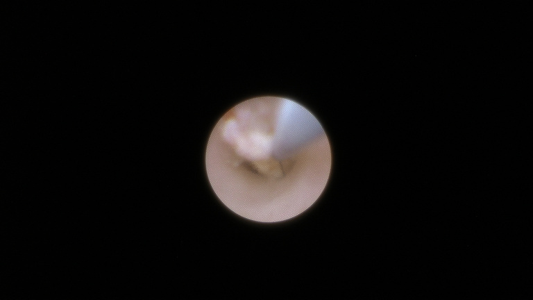 ch1_image_020.jpg